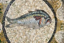 Mosaico de un atún de la época romana. Pescados Bedimar